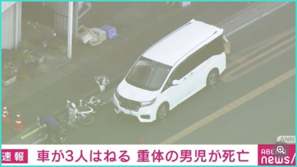 １月２４日に川崎市で起きた事故 車が自転車をはねた原因は助手席のインコ Chii Blog